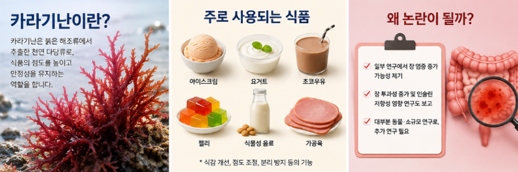 카라기난 몸에 안 좋을까? 부작용과 안전성 쉽게 알아보기