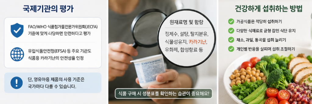 카라기난 몸에 안 좋을까? 부작용과 안전성 최신 연구