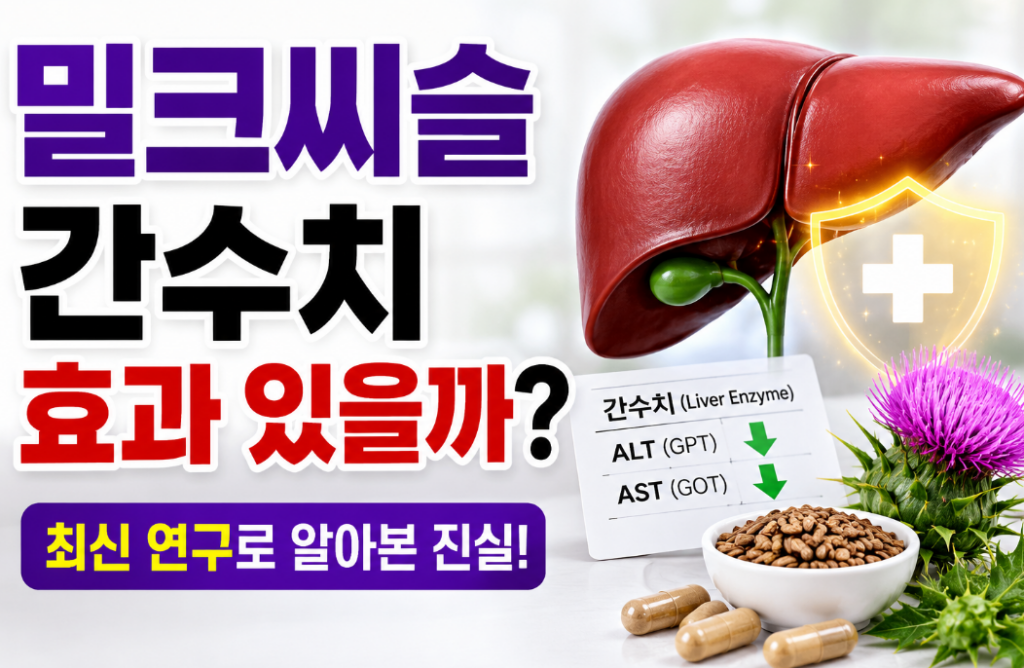 밀크씨슬 효과, 간수치 개선에 정말 도움이 될까?