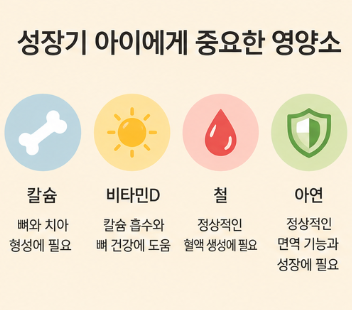 3세 아이 편식, 부족하기 쉬운 영양 성분을 확인하세요