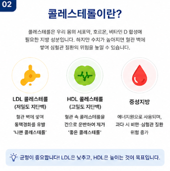 콜레스테롤, 검사표의 네 가지 항목을 확인합니다
