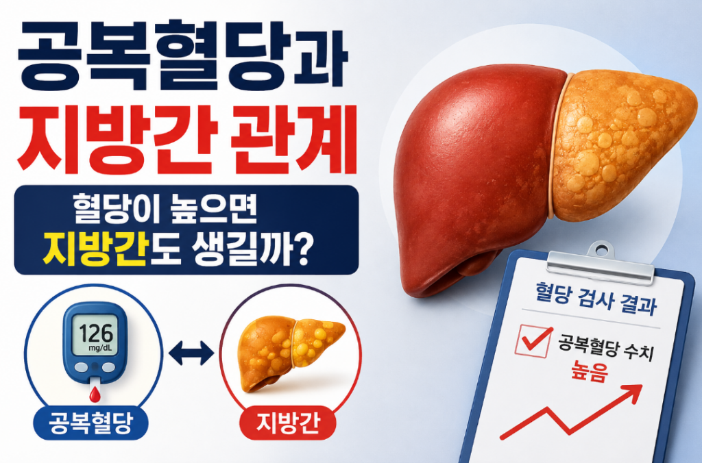 공복혈당과 지방간 관계, 혈당이 높다면 간도 확인해야 하는 이유
