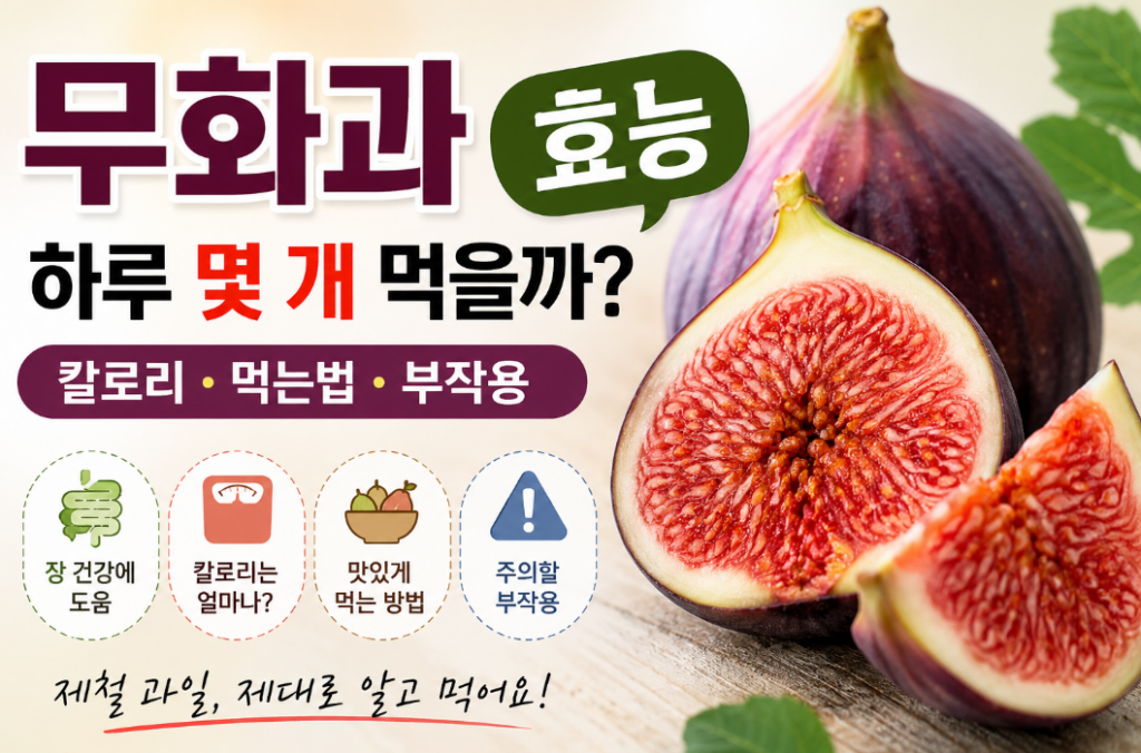 무화과 효능｜하루 몇 개가 적당할까? 칼로리·먹는법·부작용