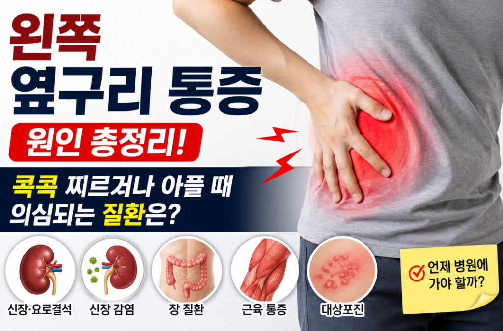 왼쪽 옆구리 통증|등·허리까지 아픈 이유와 위치별 원인
