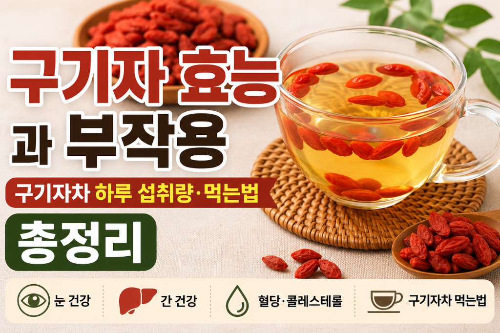 구기자 효능 부작용|하루 섭취량과 먹는법