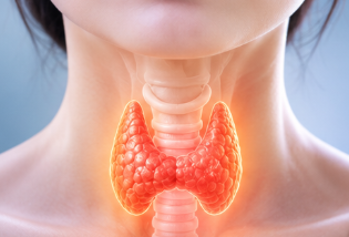TSH 정상수치보다 높을 때