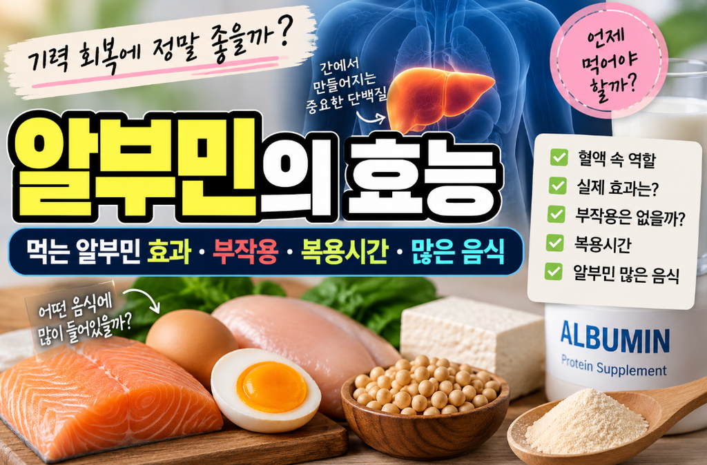 알부민 효능과 정상 수치, 부족할 때 확인할 점