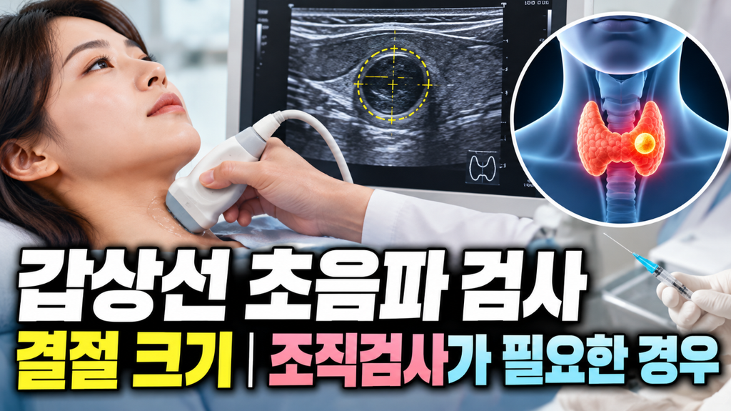 갑상선 초음파 검사|결절 크기와 조직검사가 필요한 경우